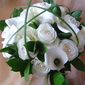 fwthumbWhite Rose  Cala Caged.jpg
